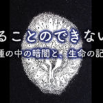 冬の海岸で感じた、分けることのできない生命のつながり ― 種・土・生命の循環について ―