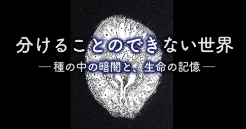 冬の海岸で感じた、分けることのできない生命のつながり ― 種・土・生命の循環について ―